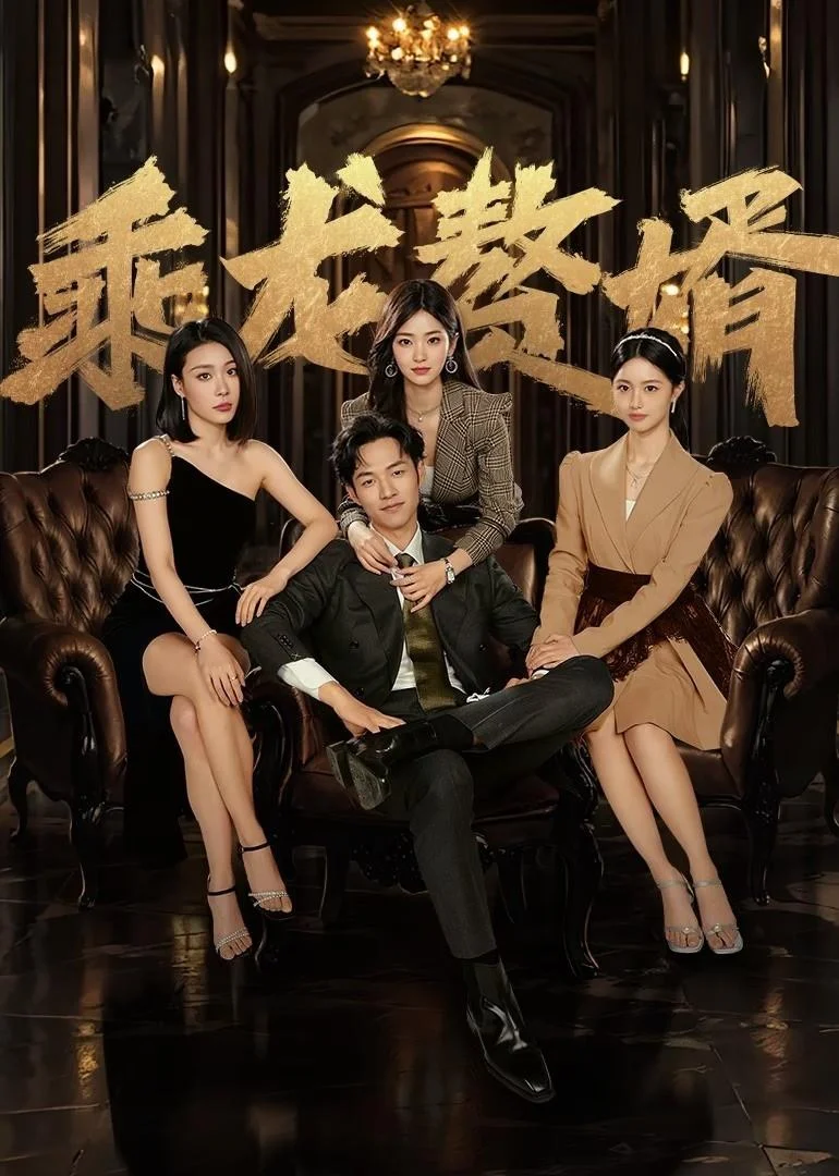 Xem phim Chàng Rể Tài Ba - Full HD Vietsub