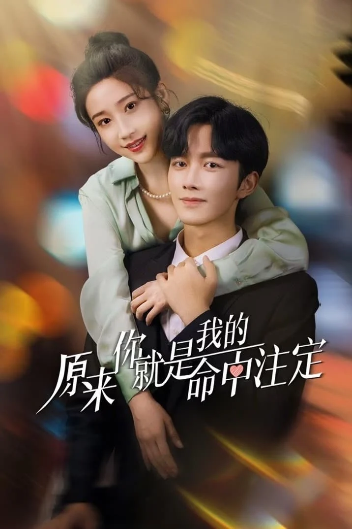 Xem phim Hoá Ra Em Là Định Mệnh Đời Anh - Full HD Vietsub