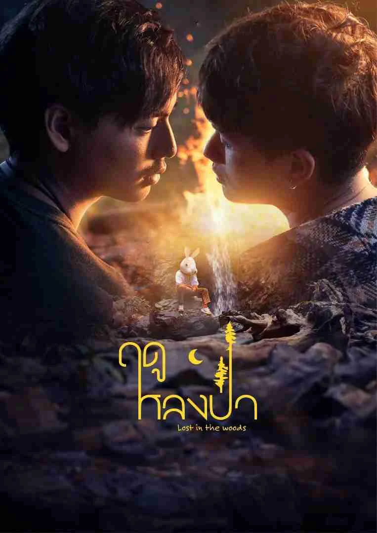 Xem phim Mùa Lạc Trong Rừng - Full HD Vietsub
