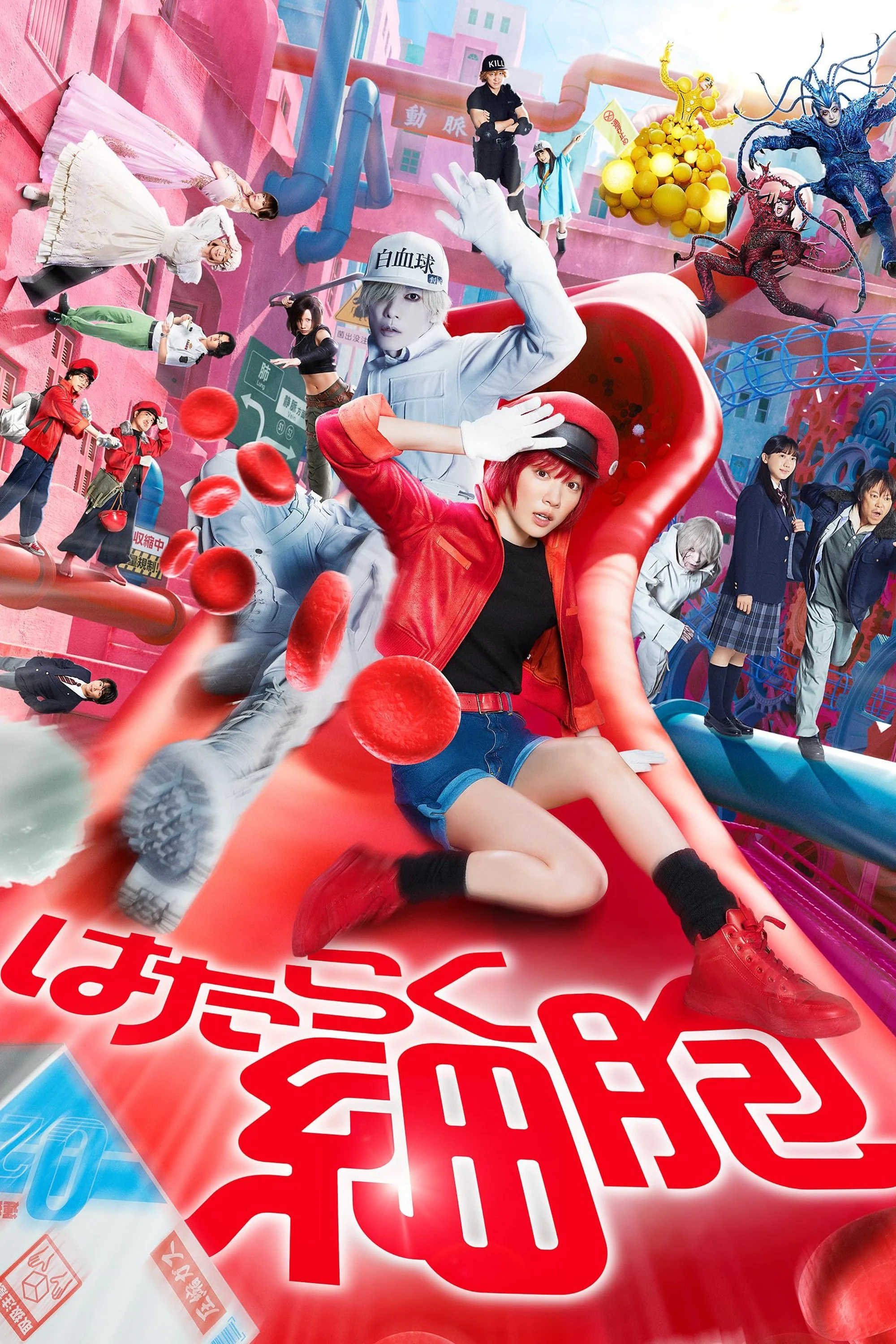 Xem phim Khi Tế Bào Làm Việc - Full HD Vietsub