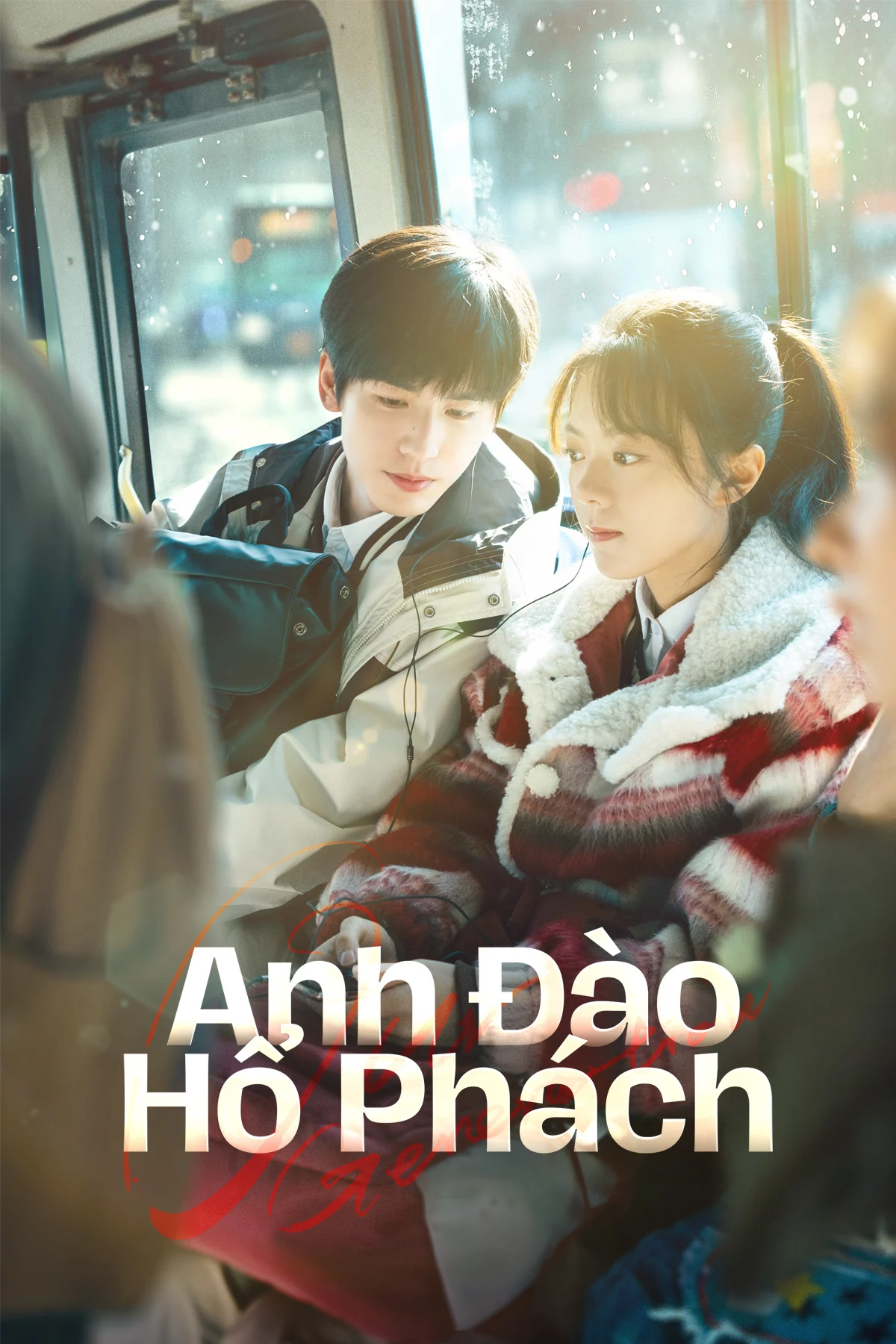 Xem phim Anh Đào Hổ Phách - Full HD Vietsub