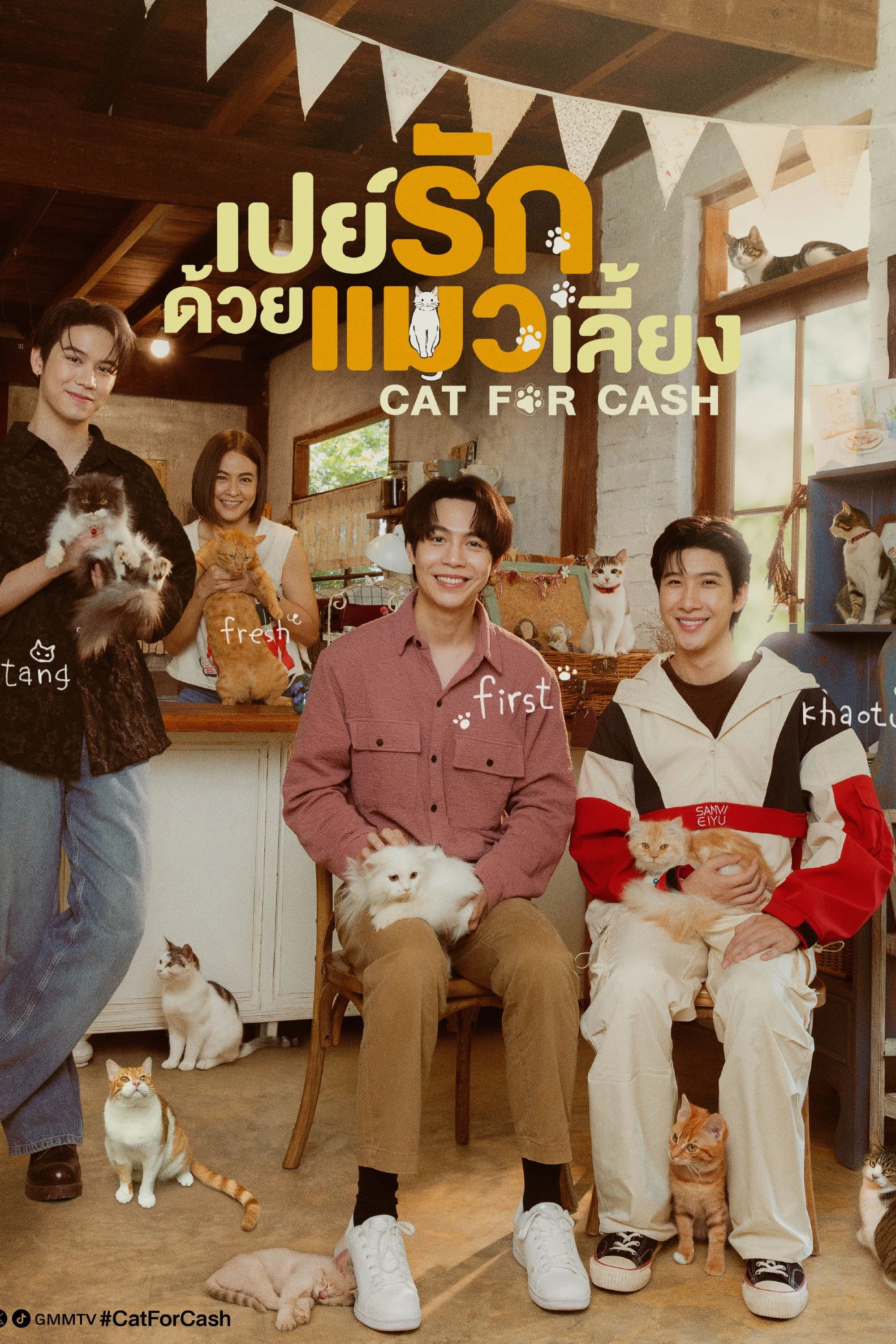 Xem phim Đổi Tình Lấy Mèo - Full HD Vietsub