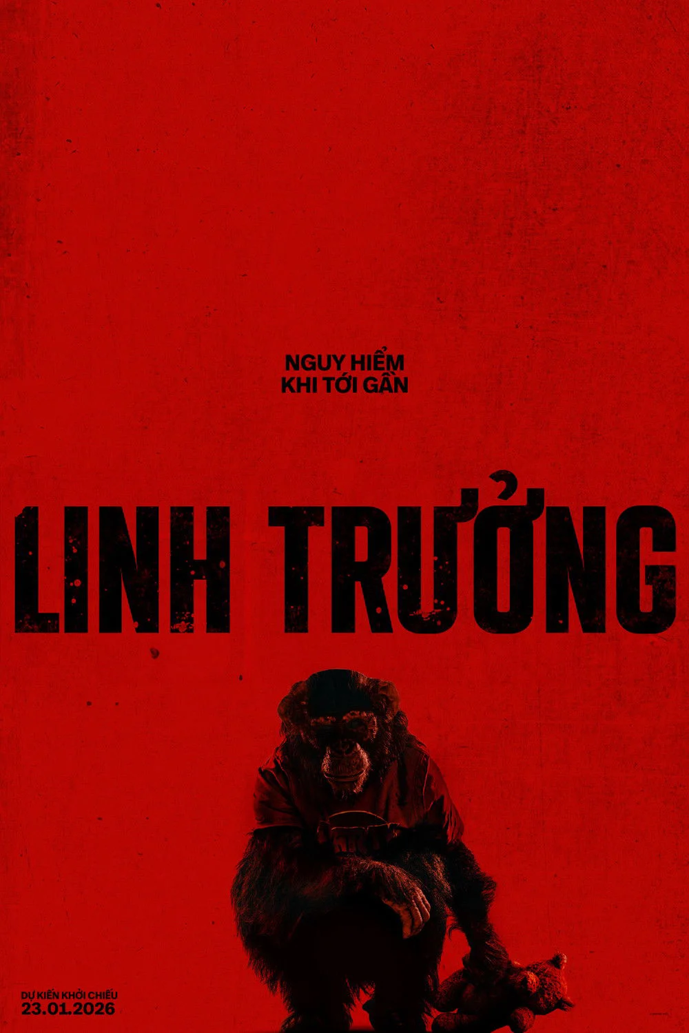 Xem phim Linh Trưởng - Full HD Vietsub