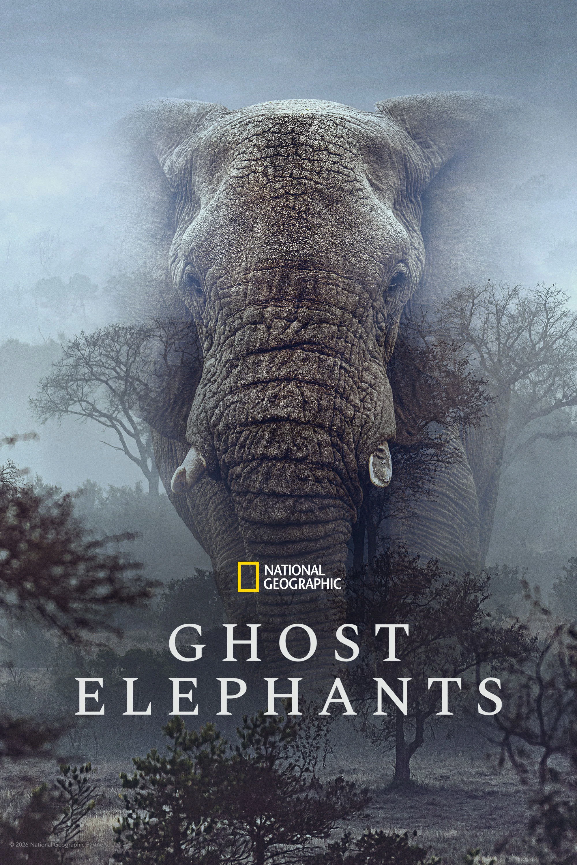 Xem phim Ghost Elephants - Full HD Vietsub