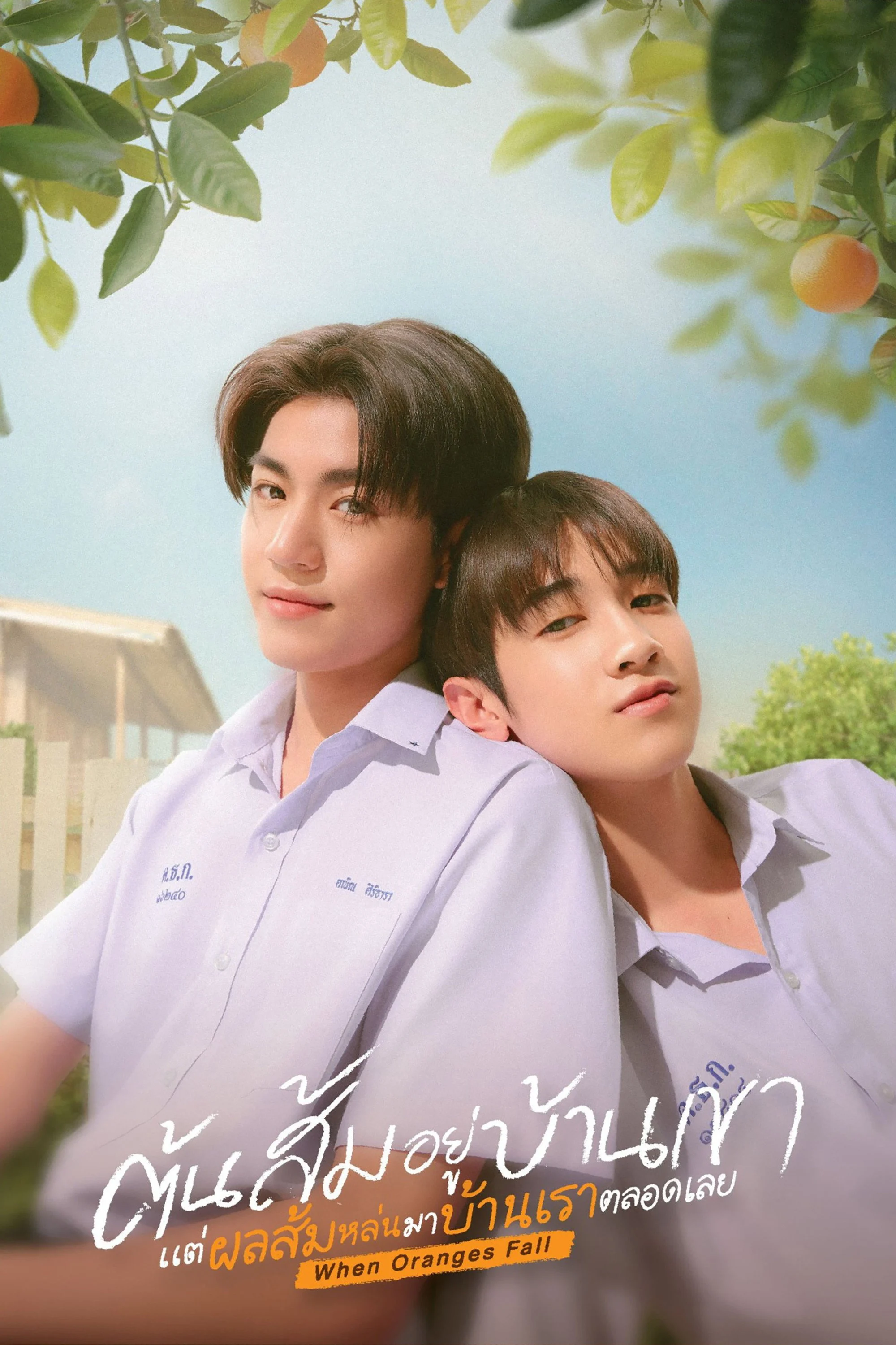 Xem phim Cây cam ở nhà cậu ấy nhưng quả cam luôn rơi sang nhà tôi - Full HD Vietsub