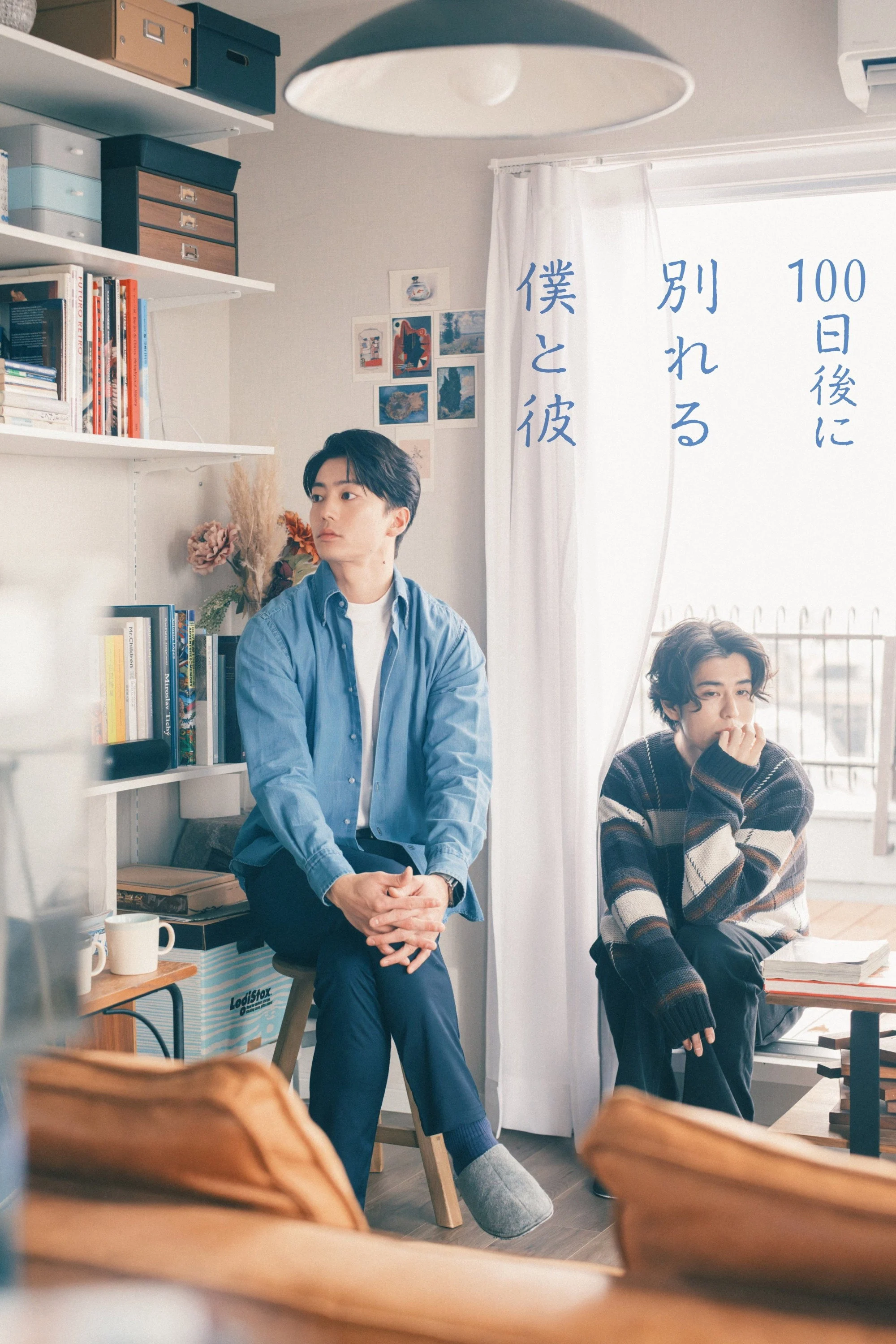 Xem phim The Boy and I Who Will Break Up in 100 Days - Full HD Vietsub
