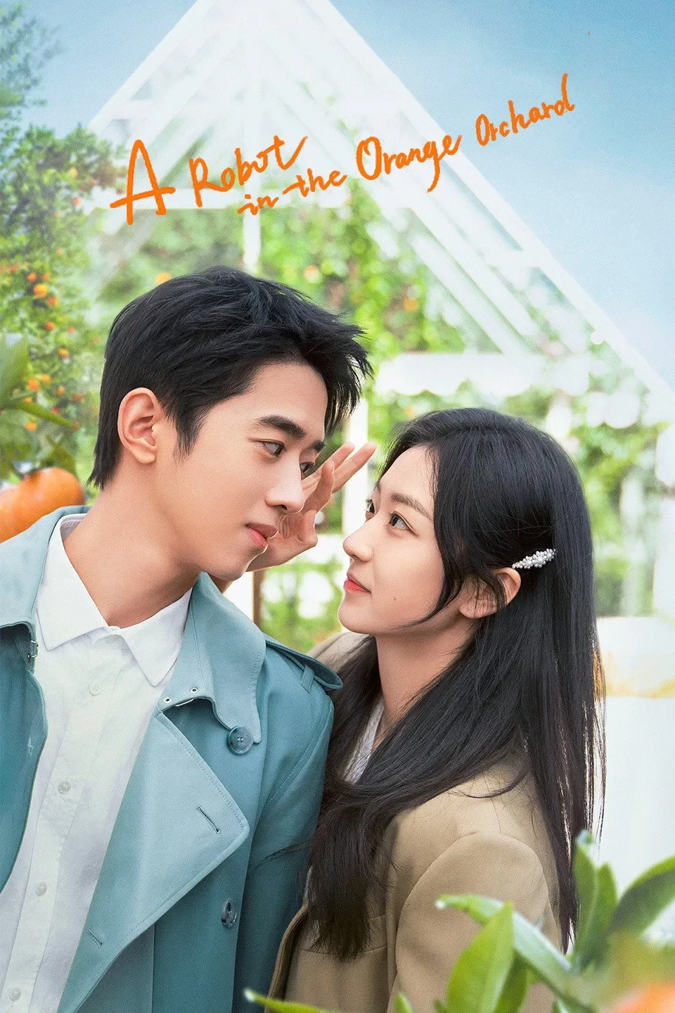 Xem phim Xin Chào, Người Yêu Quất Tử Của Tôi / Xin Chào Người Tình Trái Quýt - Full HD Vietsub